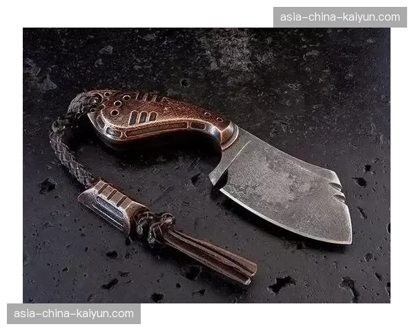 历史回顾:追溯“砍鲨战术”的兴衰,及其对现代“砍X战术”规则的影响